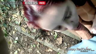 JEG PLUKKET OPP EN NY EN I SLETTENE OG AMMES HAM