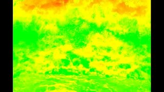 Les habilitats orals